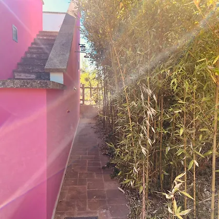 Casa vacanze Zingarello Faccia di Trippa di Monte